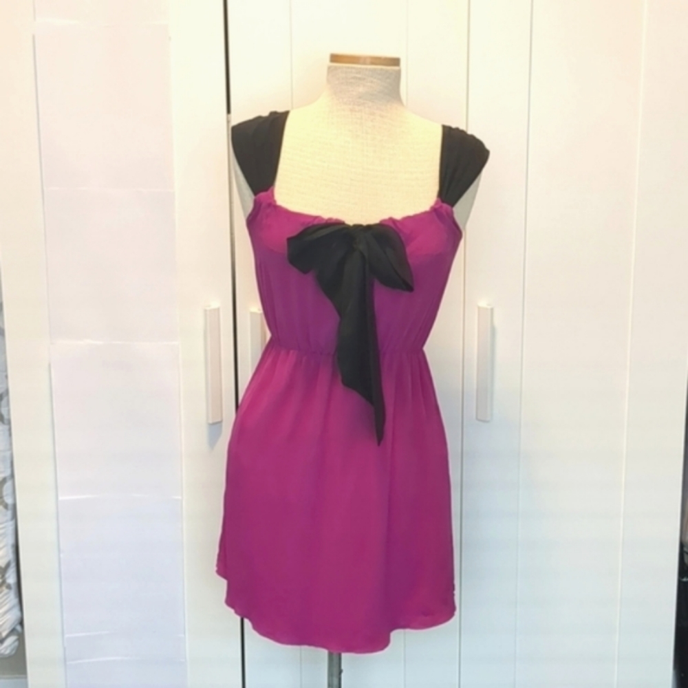 Aritzia Central Park West Pink and Black Silk Dress